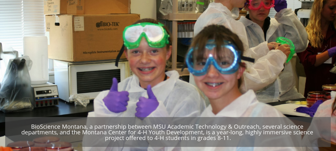 BioScience Montana, a partnership between MSU Academic Technology & Outreach, several science departments, and the Montana Center for 4-H Youth Development, is a year-long, highly immersive science project offered to 4-H students in grades 8-11.