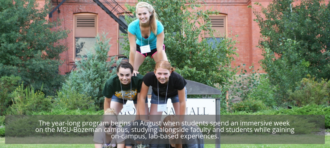 The year-long program begins in August when students spend an immersive week on the MSU-Bozeman campus, studying alongside faculty and students while gaining on-campus, lab-based experiences.