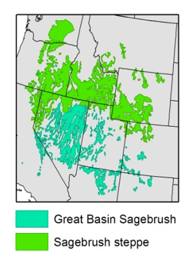 Sagebrush distribution map