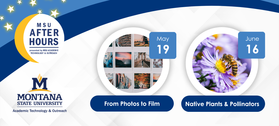 MSU After Hours registration is open for "From Photos to Film" on May 19 and Native Plants and Pollinators on June 16.

Photo of a collage of various photos and a photo of a bee on a purple cone flower.