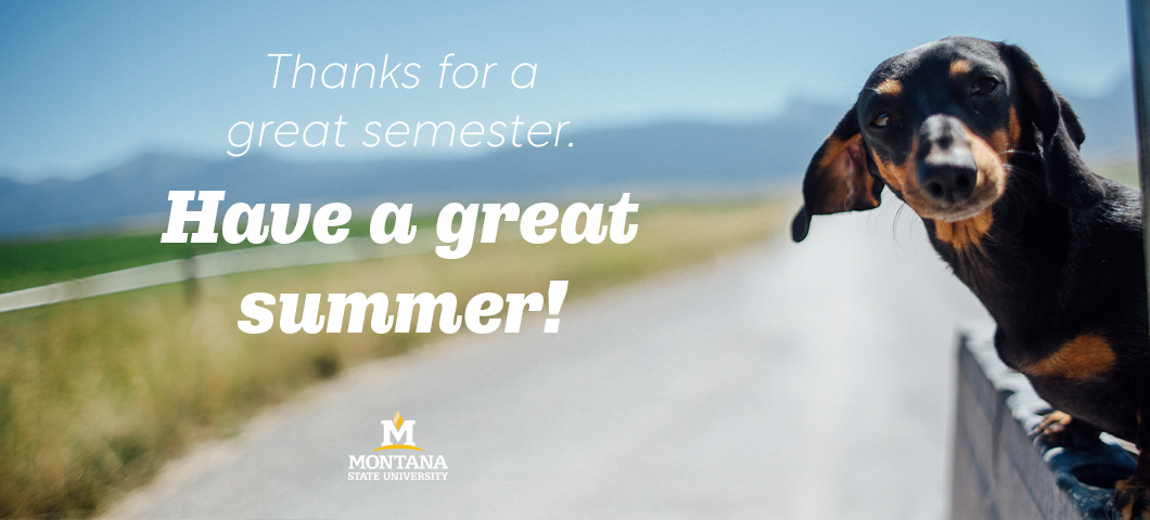 Thanks for a great semester. Have a great summer!