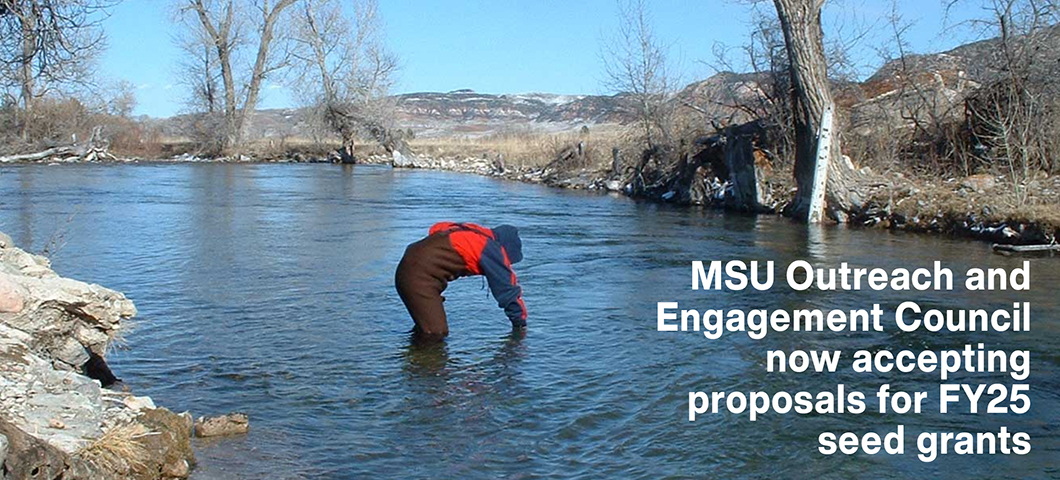 MSU Outreach and Engagement Council now accepting proposals for FY25 seed grants