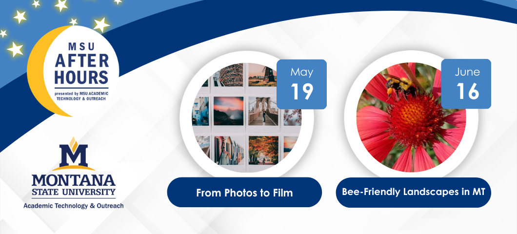 MSU After Hours registration is open for "From Photos to Film" on May 19 and "Bee-Friendly Landscapes" in MT on June 16.

A photo of a collage of various photos arranged in a circle. A close up photo of a bee on a red flower.