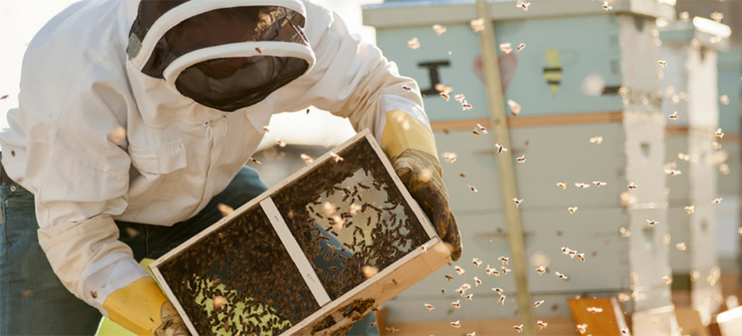 Man with bees