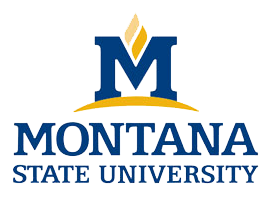MSU logo