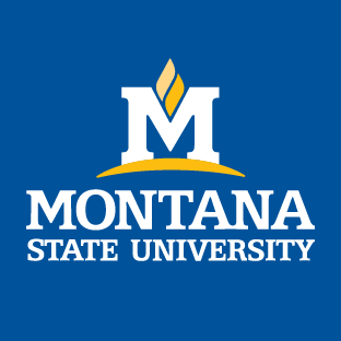 MSU logo