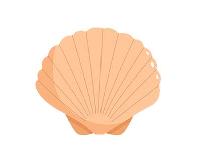 Shell