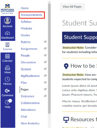  Course navigation menu with Announcements outlined in red