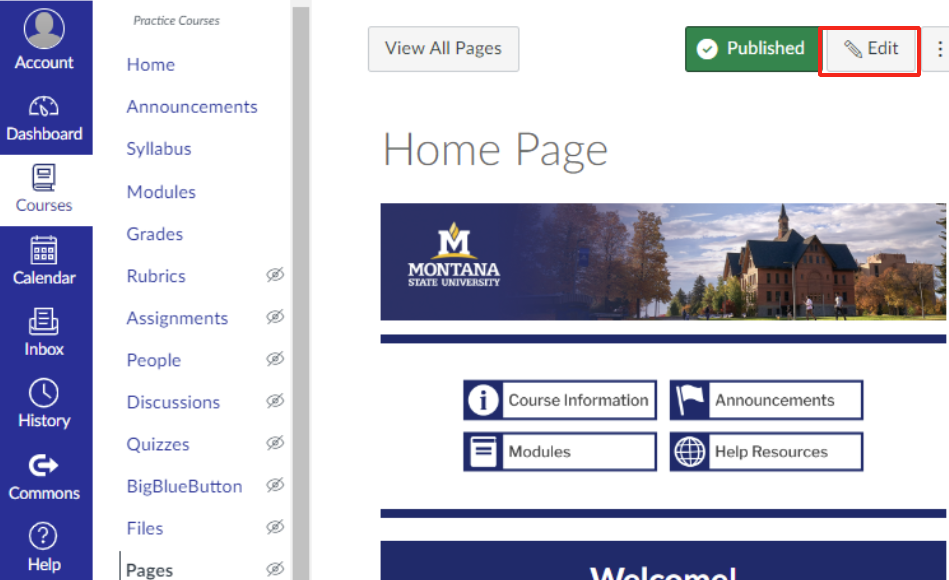 MSU-branding template homepage with page edit button outlined in red