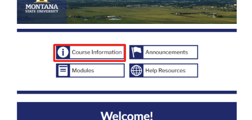 MSU-branded homepage buttons with course information button outlined in red.