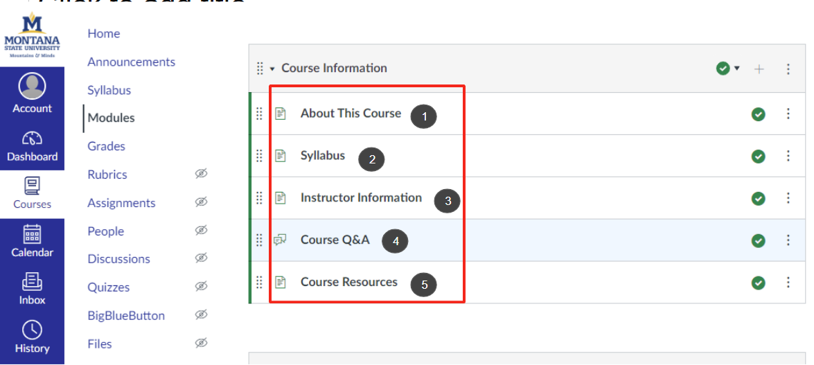 Course information module with its pages and activities outlined in red. 