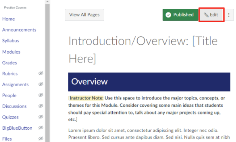 Canvas detail and settings window of a page titled Introduction and Overview with the edit button outlined in red. 
