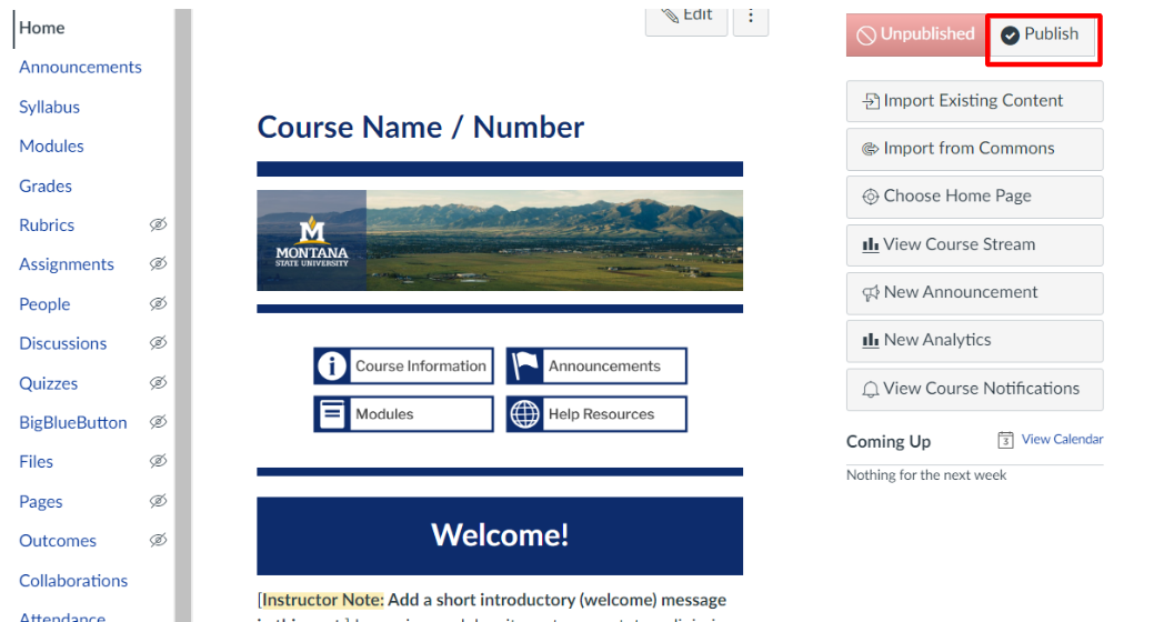 Course homepage with publish button in top right-hand corner outlined in red