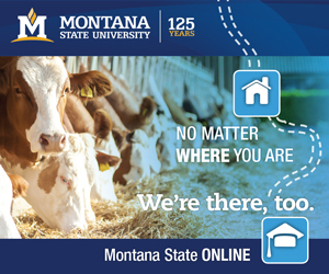 No matter where you are, we're there, too. Montana State Online