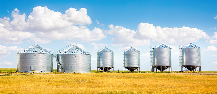 montana-crops-past-and-presen-23folbcrop