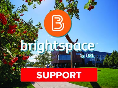 Brightspace support