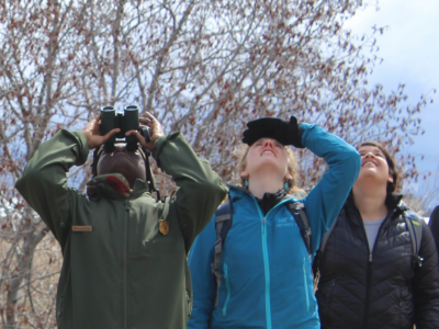Get involved! Three women with binoculars bird watching.