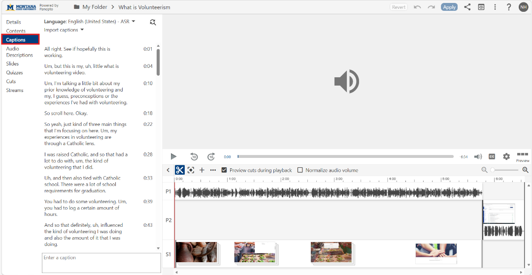 screenshot of Panopto editor with captions tab on left navigation highlighted