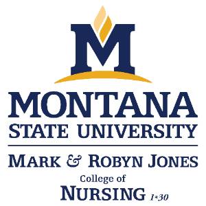MSU College of Nursing Logo