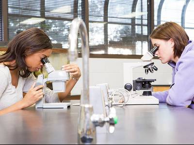 two women looking through microscopes